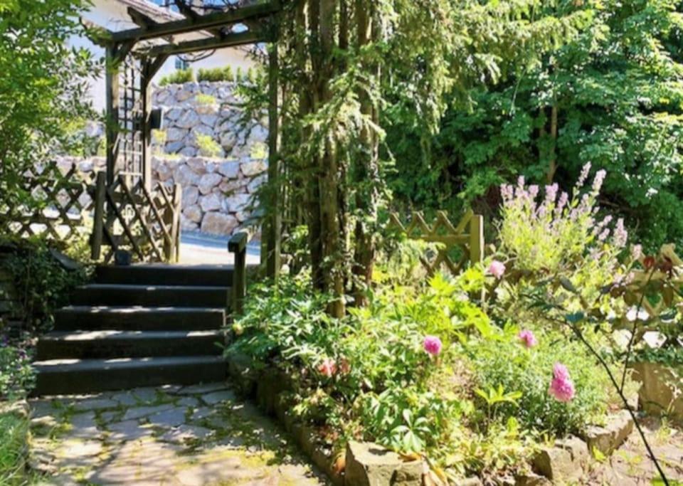 Waldseele Appartement Battenberg  ภายนอก รูปภาพ